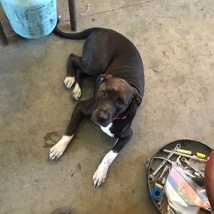 Meet your Posher, Martin